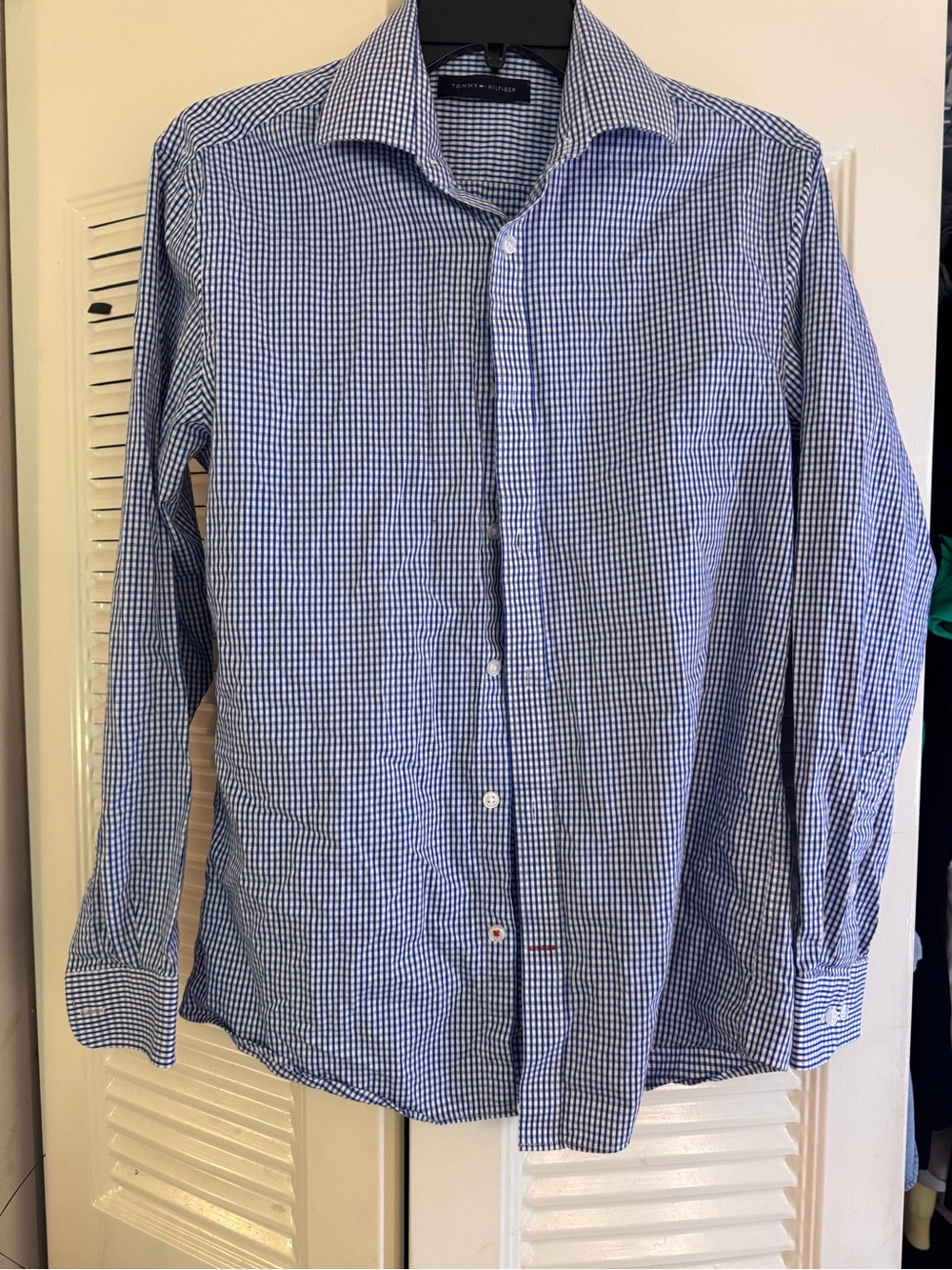 Tommy Hilfiger Blue and White Gingham Dress Shirt